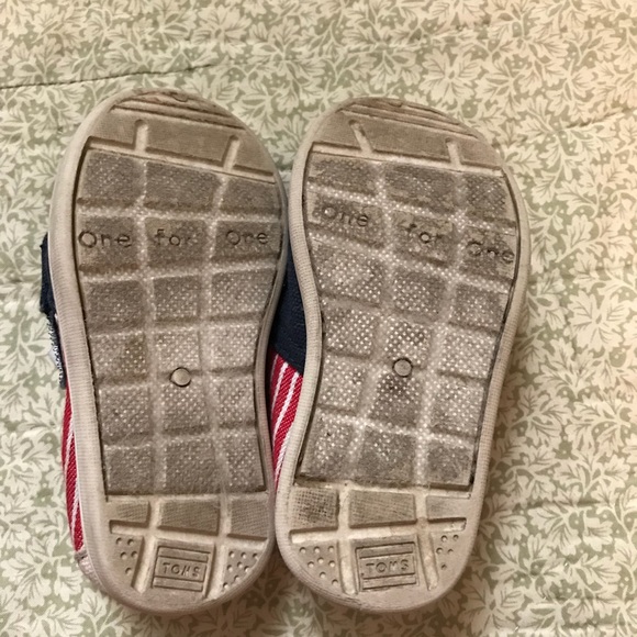 Baby Toms! - Picture 4 of 4